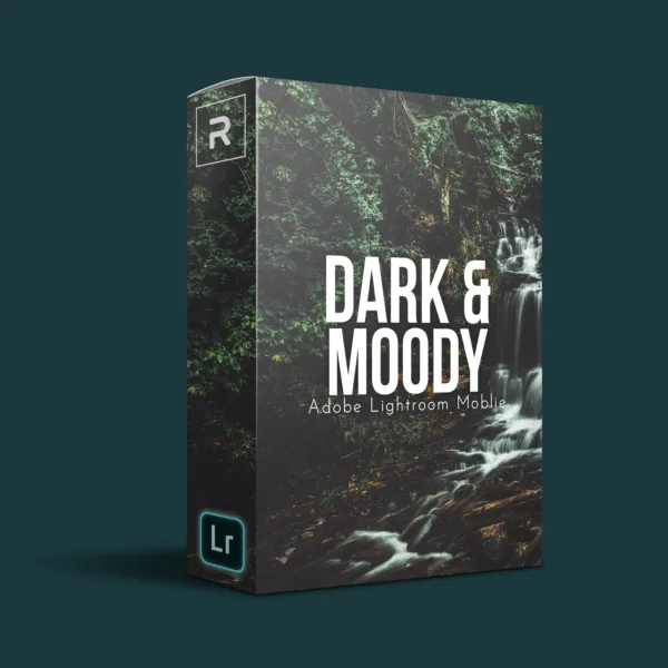 Dark Moody Lightroom Mobile Preset