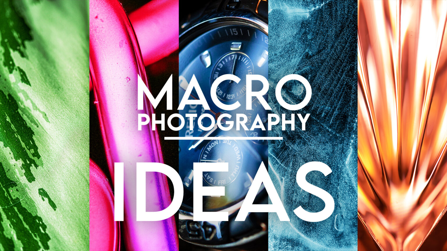 creative macro photography