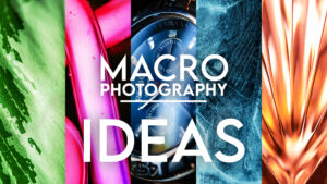 Read more about the article Creative Macro Photography Ideas
