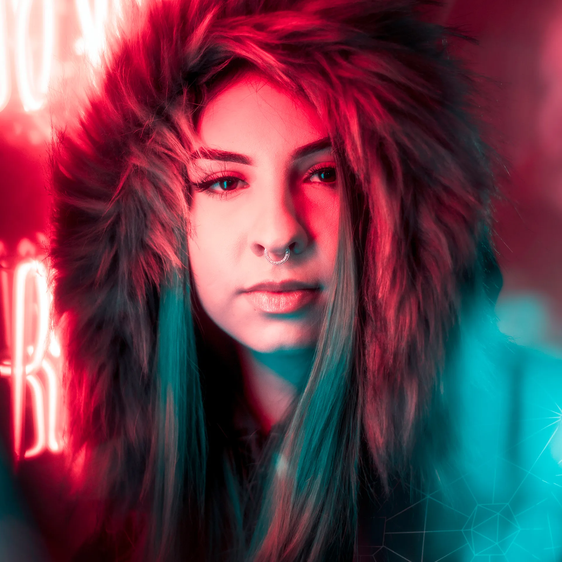 Run N Gun Neon Portrait LUT Lightroom Profile Pack Box