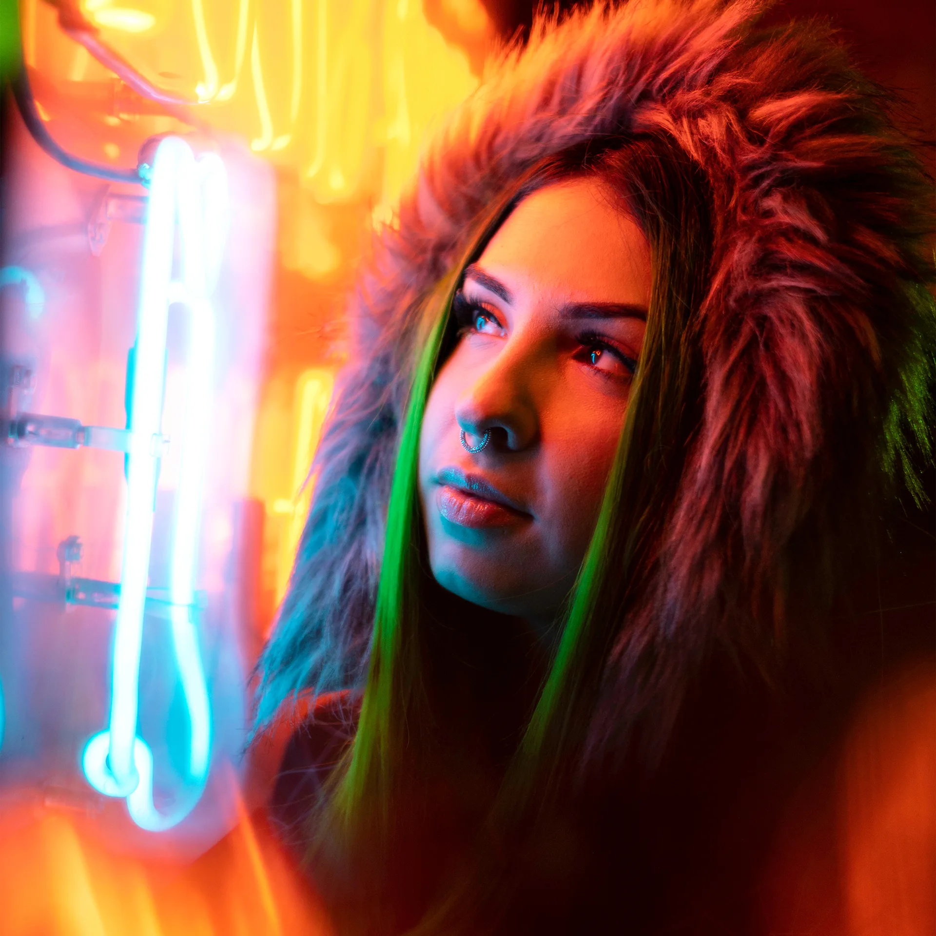 Run N Gun Neon Portrait LUT Lightroom Profile Pack Box