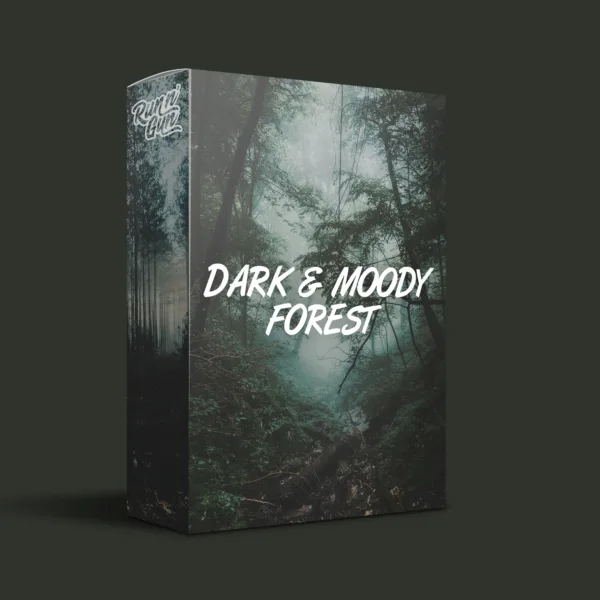 Run N Gun Dark & Moody Forest LUT for Color Grading Box