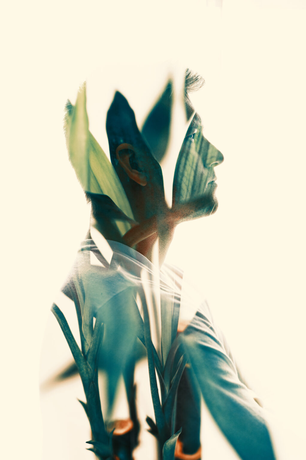 Z-Series Multiple Exposure Photography Guide - Run N Gun Photography