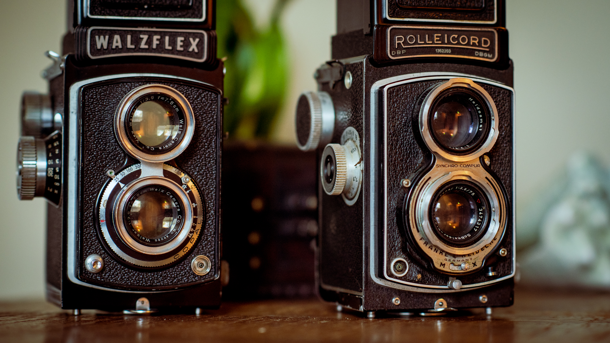 Read more about the article First Impressions: Rolleicord, Walzflex