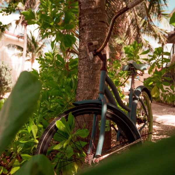 Abandoned bicycle in the caribbean by Run N Gun Photography