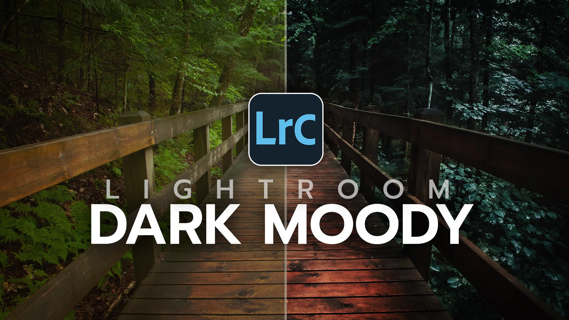 Read more about the article Dark and Moody Lightroom Settings