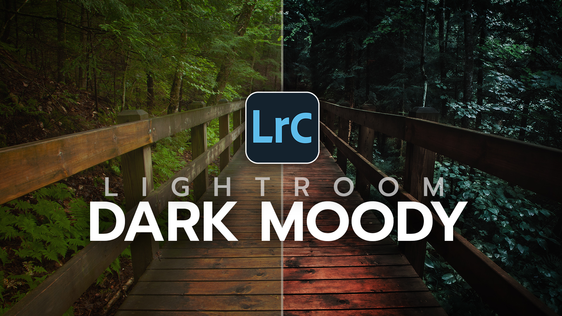 You are currently viewing Dark and Moody Lightroom Settings