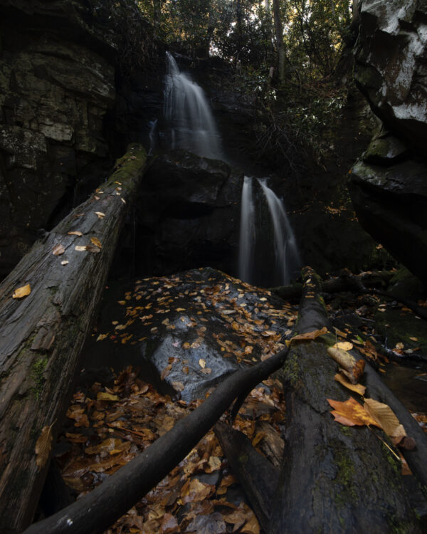 Before and after fall colors example