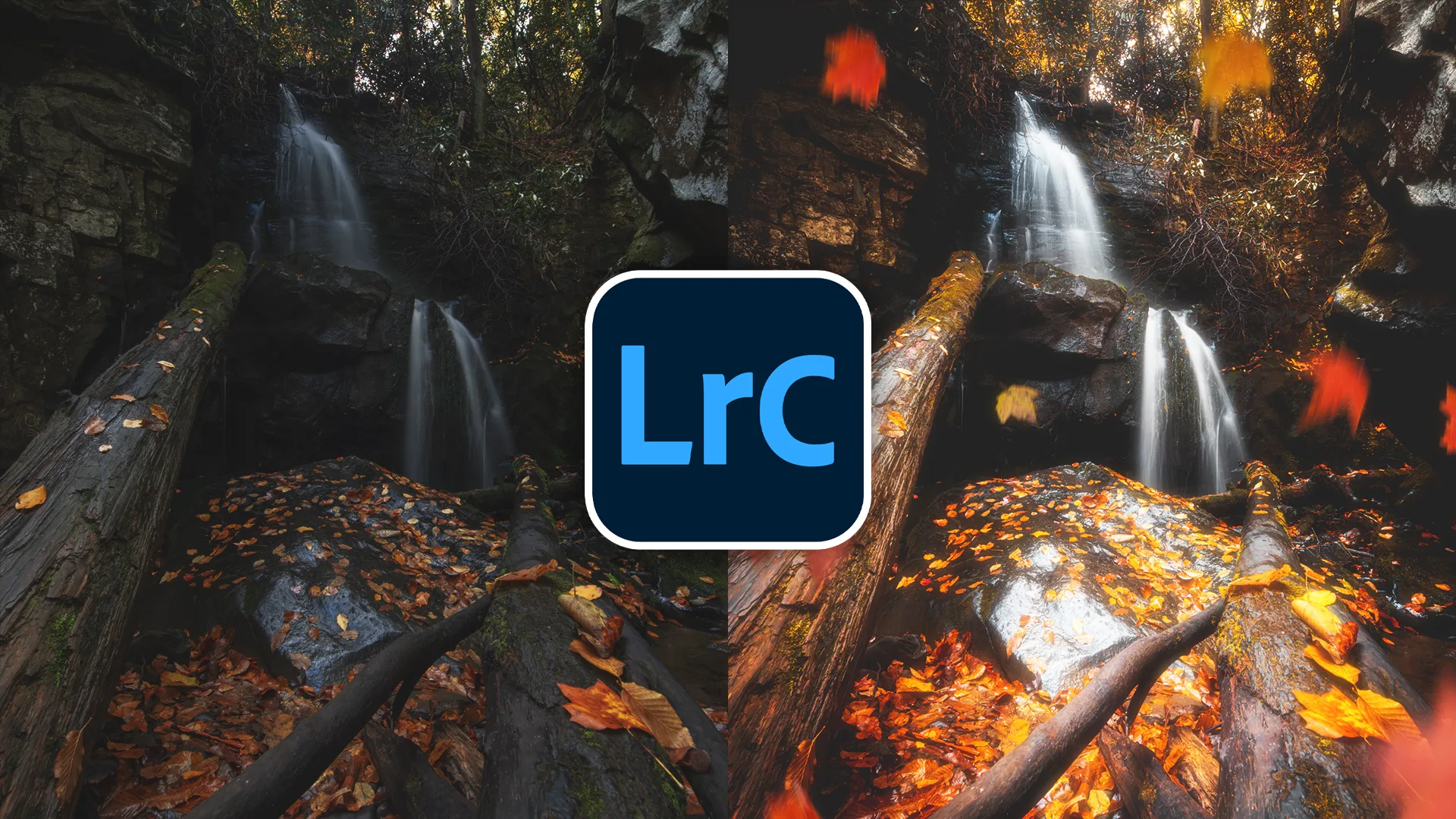 You are currently viewing How to Edit Fall Photos in Lightroom
