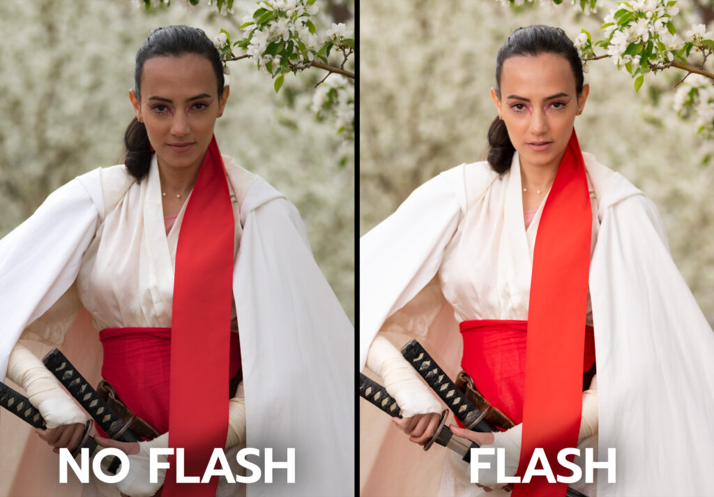 Apple Blossoms: Flash vs No Flash Comparison