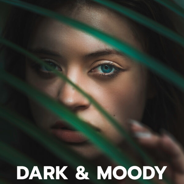 Dark and Moody Portrait Preset