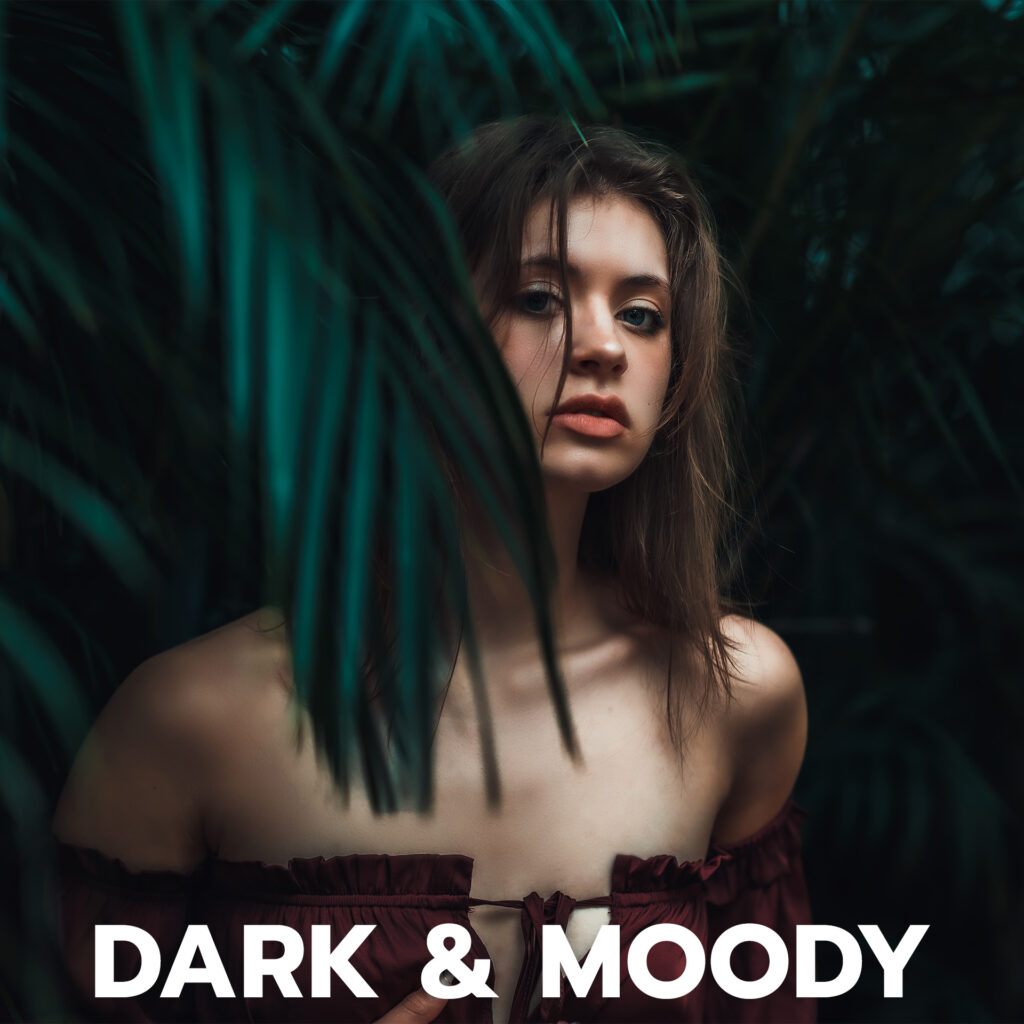 Dark Moody Portrait Preset Final After Image Example 2
