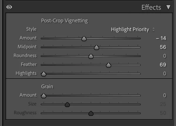 Harry Potter Editing Vignette