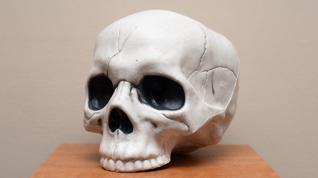 Halloween skull demonstrating direct bounced flash technique