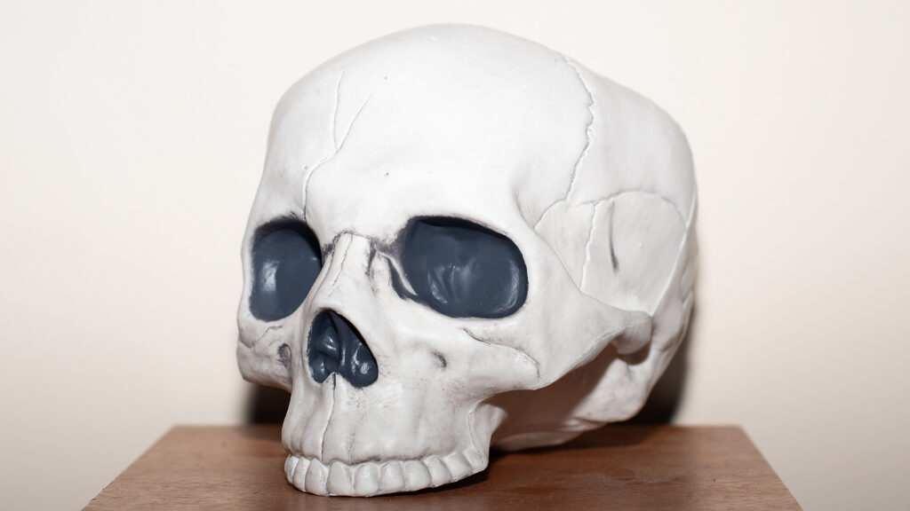 Halloween skull demonstrating direct on-camera flash technique