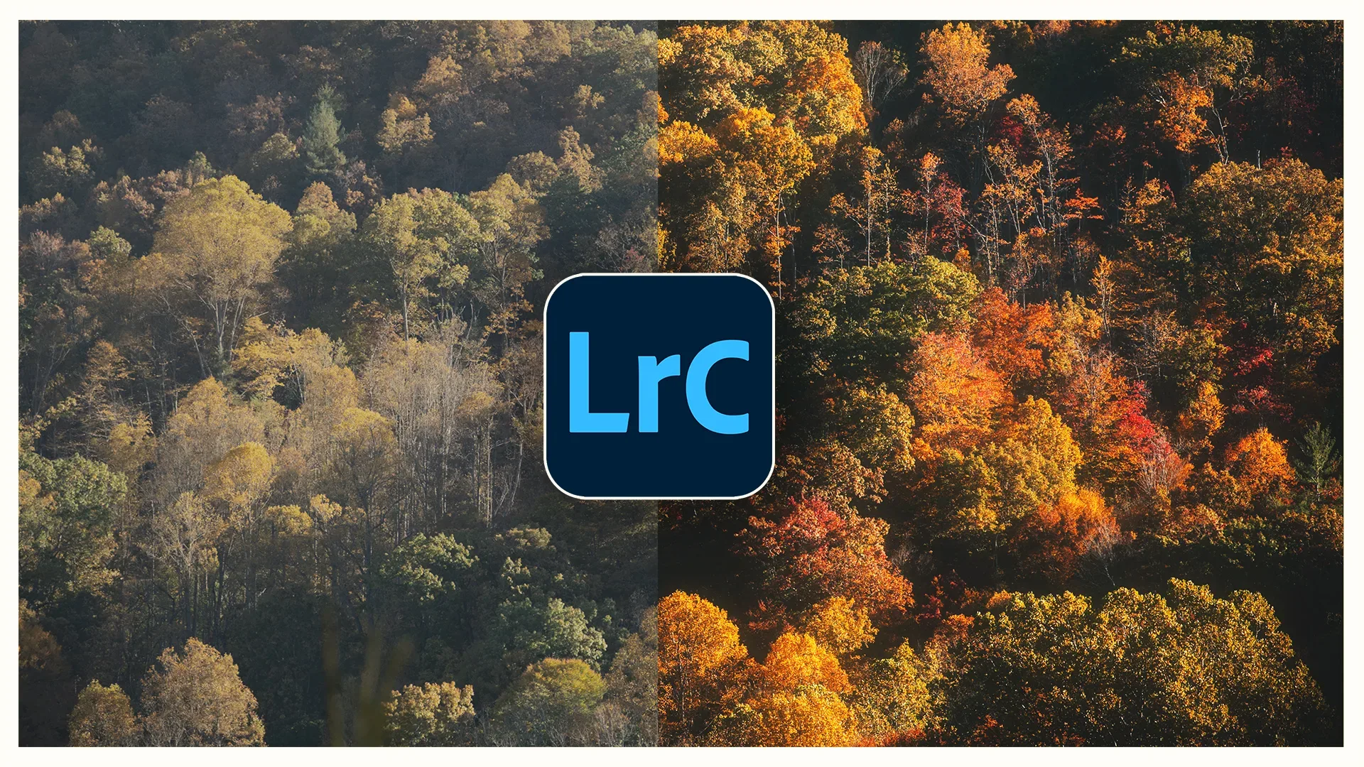 Read more about the article Make Fall Colors POP in Lightroom