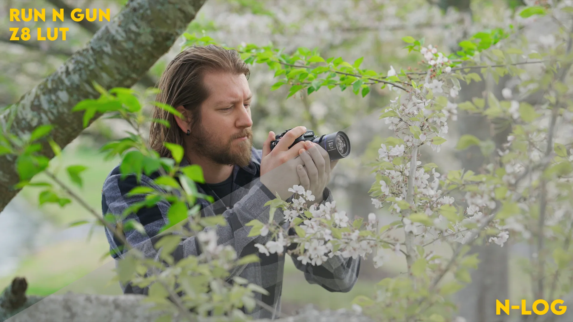 Nikon Z8 LUT: N-Log to Rec. 709 - Image 7