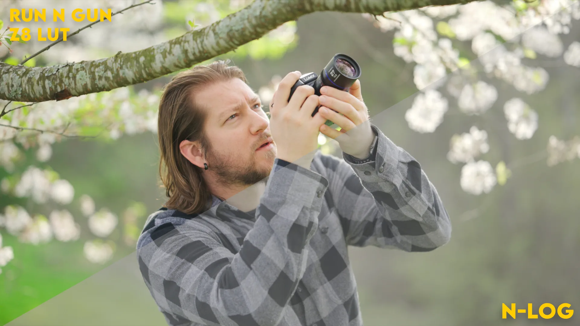 Nikon Z8 LUT: N-Log to Rec. 709 - Image 5