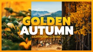 Read more about the article How to Edit Autumn Colors Photos in Lightroom