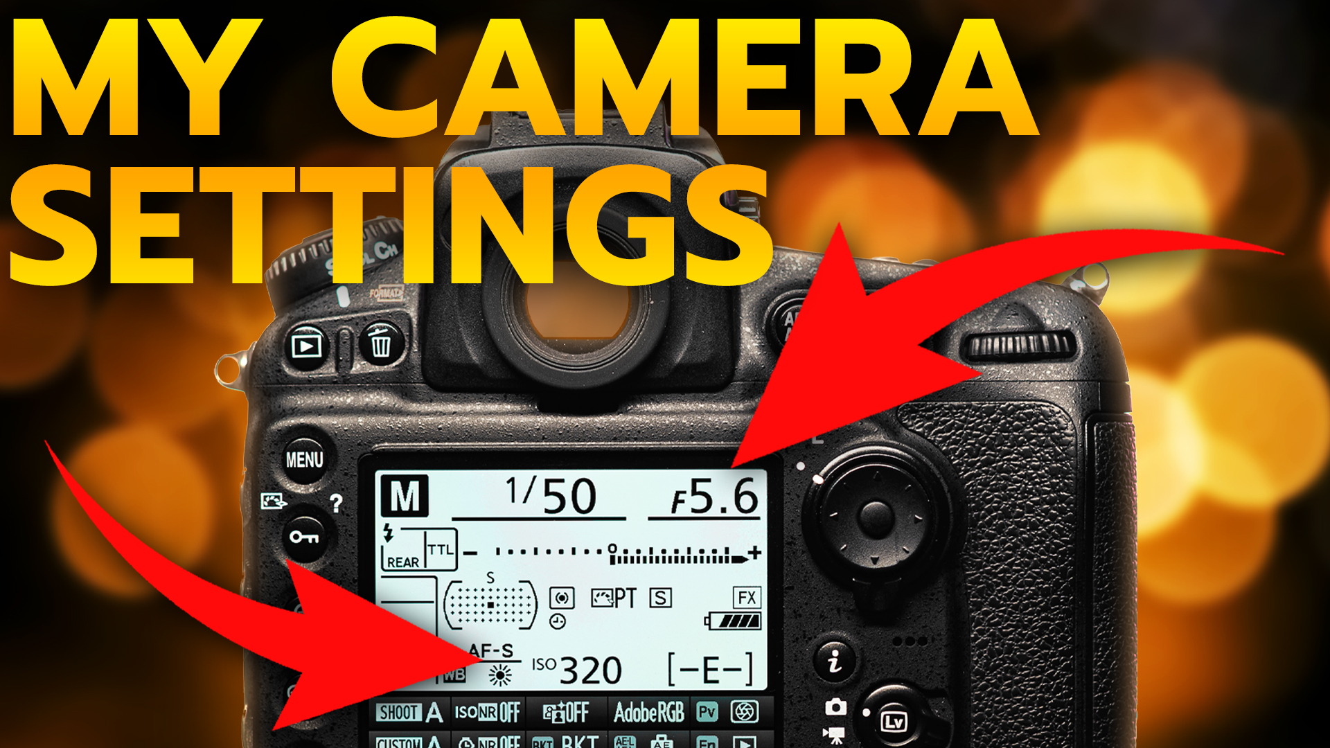 Best Camera Settings for Beginner Photographers - Run N Gun Photography